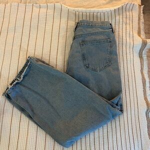 Agolde jeans - low slung baggy